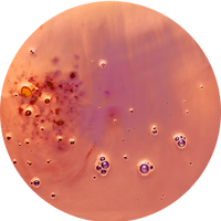 Retinol