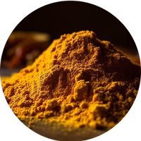 Curcuma Longa